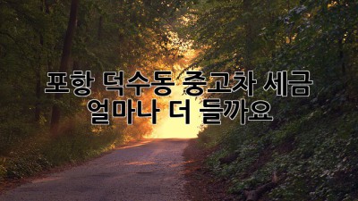 포항 덕수동 중고차 세금, 얼마나 더 들까요?